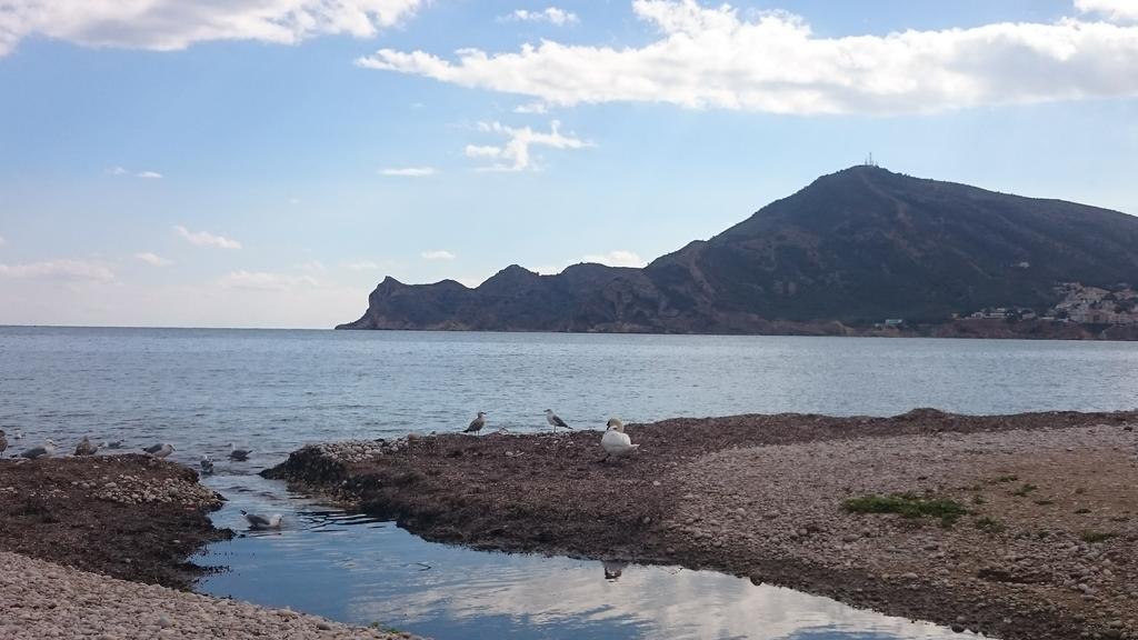 Hostal Ventorrillo El Albir Esterno foto